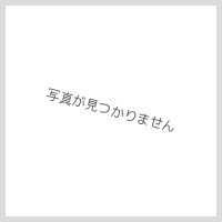 TACOMA FUJI RECORDS　" DOUBLE PORK CHOP CAP designed by Jerry UKAI "　col.LIGHT BLUE