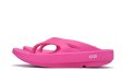 画像1: OOFOS　" OOriginal - Recovery Shoes "　col.Pink (1)