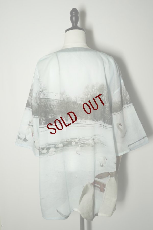 画像4: BLESS N°73　 HOLIDAY WINTER SWAN　 col.Print