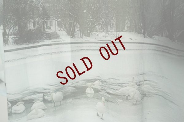 画像5: BLESS N°73　 HOLIDAY WINTER SWAN　 col.Print