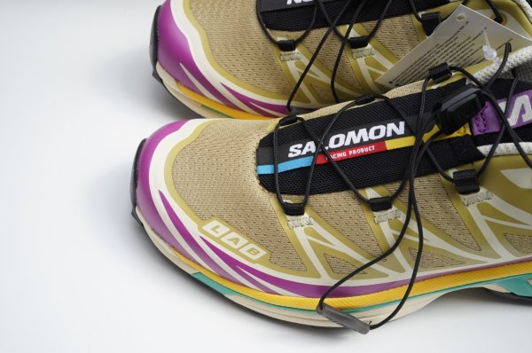 画像2: Salomon　 XT-6 　 col.Antique Gold / Transparent Yellow / Wllowherb