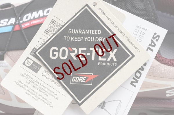 画像16: Salomon　 XT-6 GTX 　 col.Mahogany Rose / Tawny Port / Black