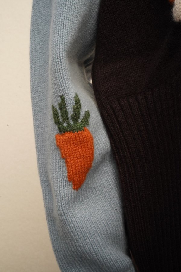 画像7: S.S.DALEY　 Hector Bunny Crewneck Sweater　 col.Blue