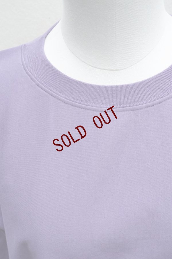 画像8: FIRO BIANCO UNO  "  T-SHIRT" ハイブリッドラマ col.camel(53)