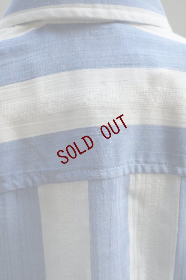 画像7: S.S.DALEY　 Denton Shirt　 col.Blue/White