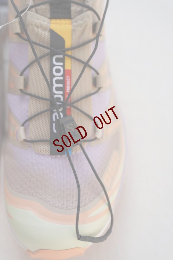画像14: Salomon　 XT-6 SKYLINE 　 col.White Pepper /  Peach Quarts / Orchid Petal