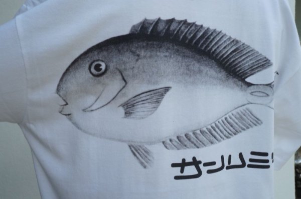 画像1: Sans limite  さかなTシャツ1　  col.WHITE