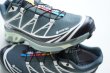 画像1: Salomon　 XT-6 GTX 　 col.Urban Chic / Black / Lime Cream (1)