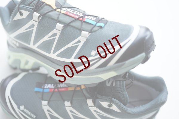 画像1: Salomon　 XT-6 GTX 　 col.Urban Chic / Black / Lime Cream