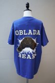 画像3: Oblada　 BEARS TEE　 col.BLUE (3)