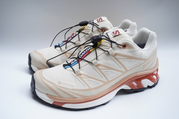 画像7: Salomon　 XT-6 GTX 　 col.Almond Milk / Soft Clay / Burnt Ochre