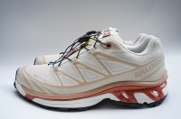 Salomon　 XT-6 GTX 　 col.Almond Milk / Soft Clay / Burnt Ochre