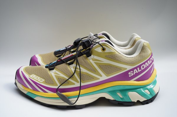 画像1: Salomon　 XT-6 　 col.Antique Gold / Transparent Yellow / Wllowherb