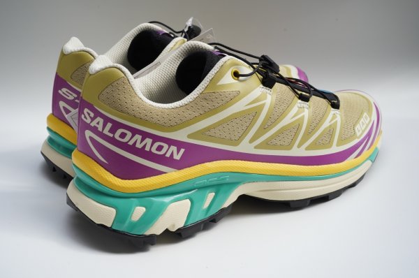 画像3: Salomon　 XT-6 　 col.Antique Gold / Transparent Yellow / Wllowherb