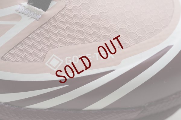 画像9: Salomon　 XT-6 GTX 　 col.Mahogany Rose / Tawny Port / Black