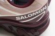 画像12: Salomon　 XT-6 GTX 　 col.Mahogany Rose / Tawny Port / Black