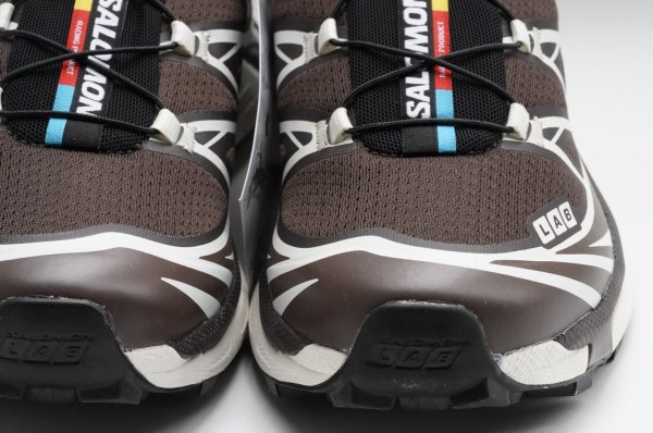 画像3: Salomon　 XT-6 　 col.Antique Gold / Transparent Yellow / Wllowherb