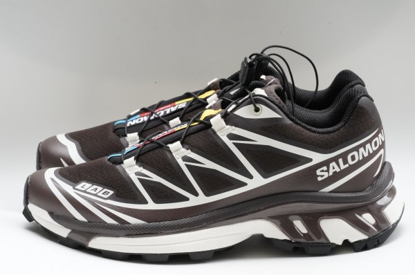 画像1: Salomon　 XT-6 　 col.Antique Gold / Transparent Yellow / Wllowherb