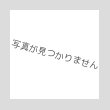 画像3: TACOMA FUJI RECORDS　" TACOMA FUJI CURSIVE LOGO CAP designed by Shuntaro Watanabe "　col.KHAKI (3)