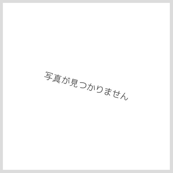 画像1: toogood × CHACOLI　" THE PLUMBER BAG "　col.WHITE (1)