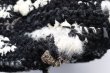 画像5: DANIELA GREGIS  "borsa crochet bag soffione" col, WHITE BLACK MIX (5)