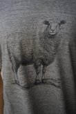 画像2: FileMelange　 MILES-SHEEP　 col.OLD MELANGE (2)