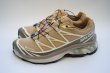 画像2: Salomon　 XT-6 GTX 　 col.Antelope / Icicle / Portabella (2)