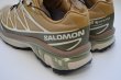 画像5: Salomon　 XT-6 GTX 　 col.Antelope / Icicle / Portabella (5)