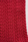 画像2: CONLEAD　 LACE SHORT　 col. RED (2)